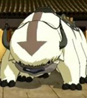 Appa